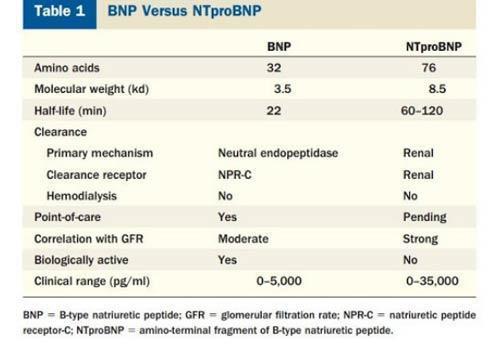 Brain natriuretic peptide test