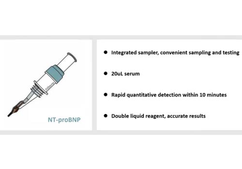 NT-proBNP & BNP