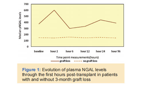 Pay Attention To The Early Diagnosis And Prevention Of Acute Kidney Injury